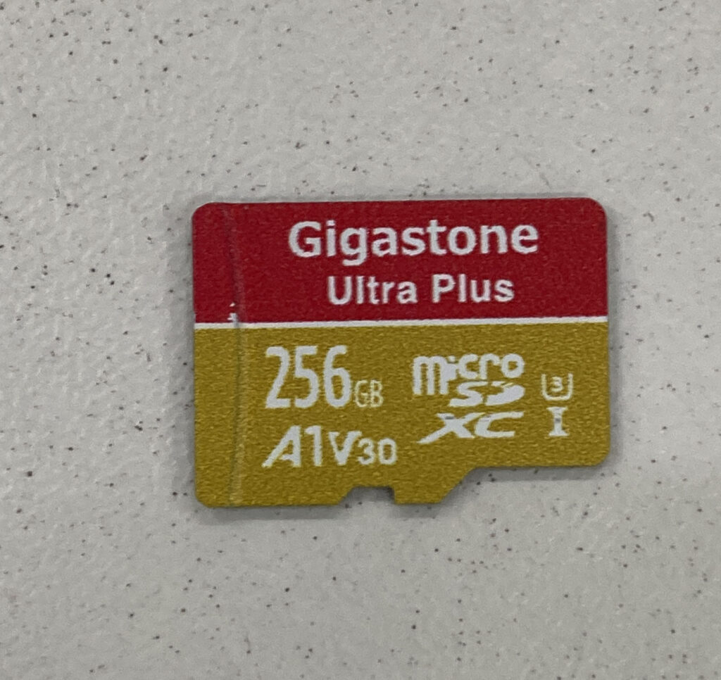 microSD Gigastone 256GB